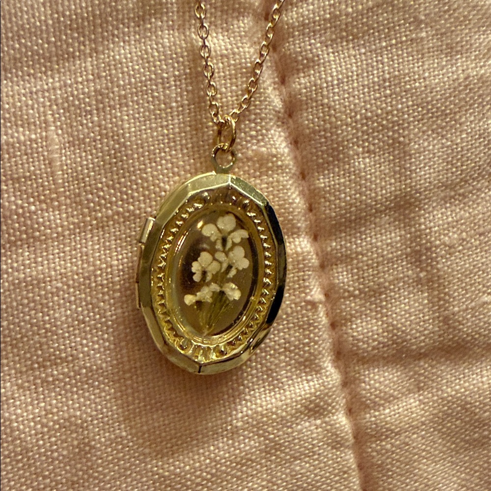 NWT Altar'd State Gold Oval Locket Pendant Necklace